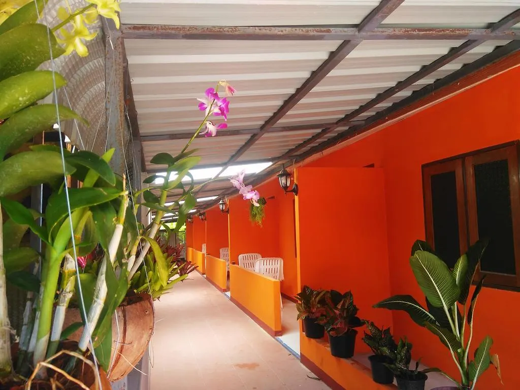 Hotel Phi Phi Coralbay Pensión